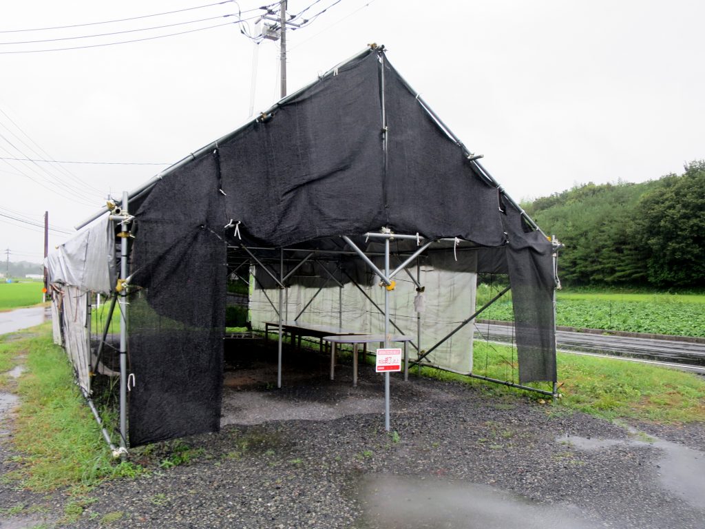 台風５号接近中-雨