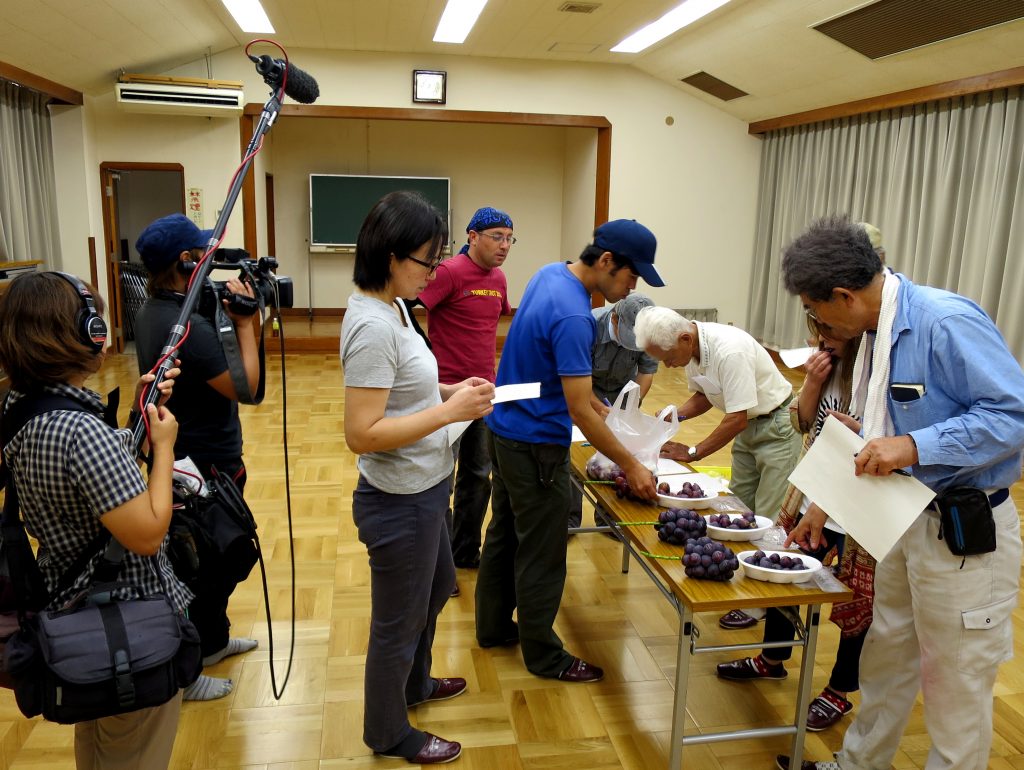 露地ぶどう査定会-晴