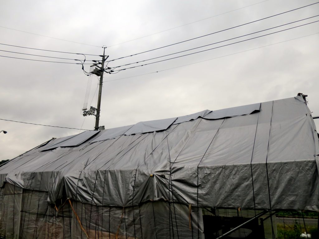 直売所のテント補修-曇りのち雨