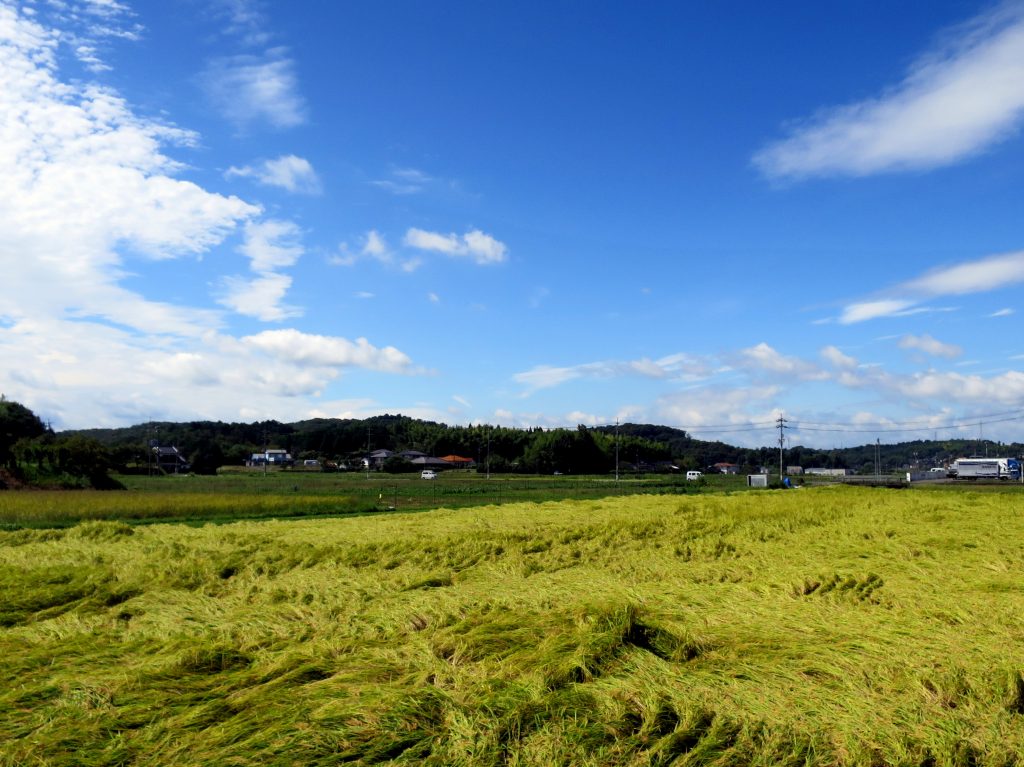 嵐の前の快晴-晴