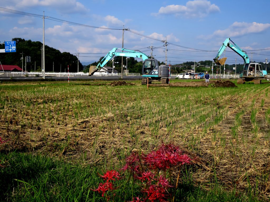 隣地にコンビニ建設-晴