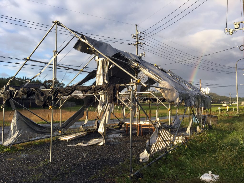 台風被害-雨のち曇り