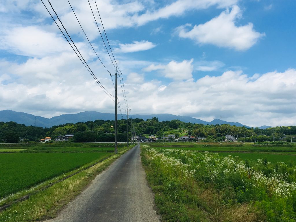 ご近所農家を視察-曇ときどき晴