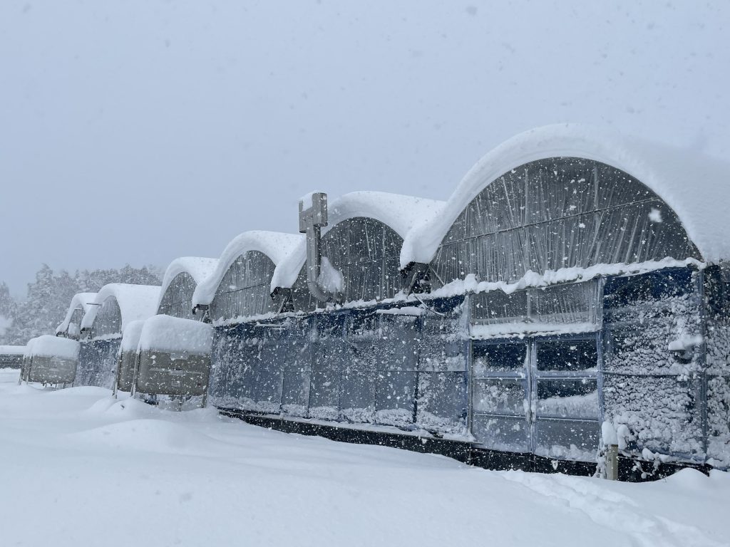 稀に見る大雪